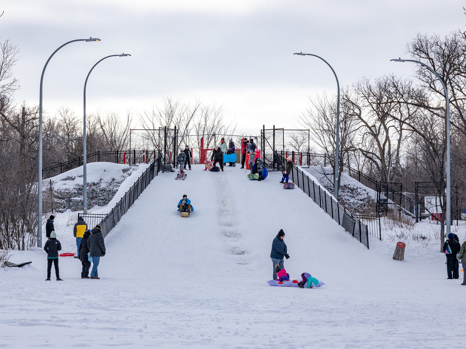 A wide shot of the toboggan hill at Assiniboine Park 